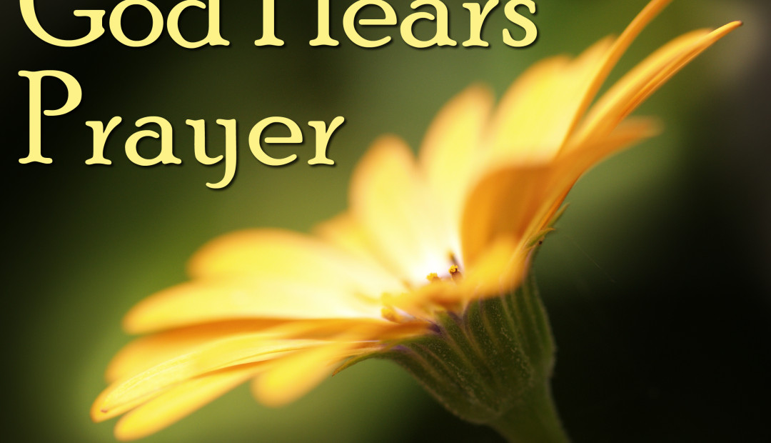 怎样祷告，才能得着主的垂听，才能得着答应呢？