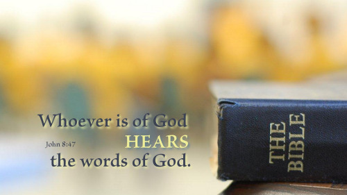【读圣经学英语】出于神的，必听神的话