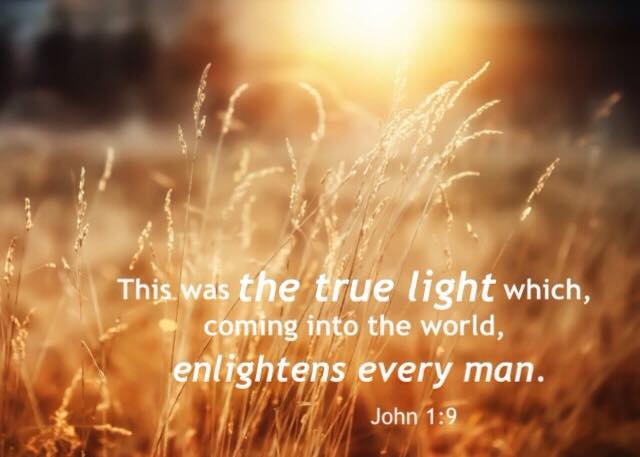 【读圣经学英语】照亮每一个人 Enlightens every man