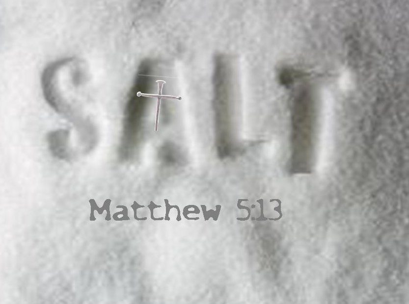【读圣经学英语】地上的盐