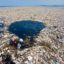 塑料正在吃掉海洋